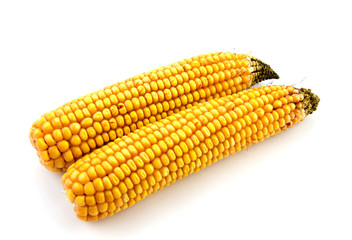 Corn cob isolated on white background
