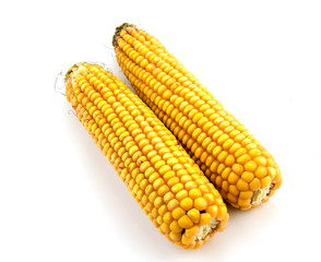 Corn cob isolated on white background