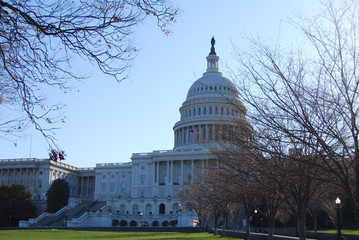 United States Capitol: Washington, D.C. in the morning light