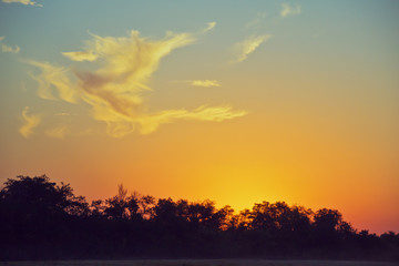 летящий дракон.