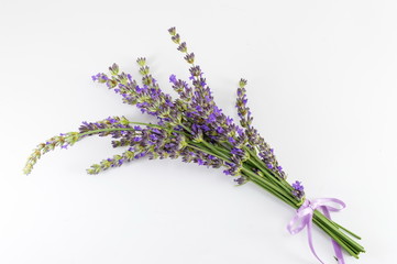 Lavender flower branches bouquet on white