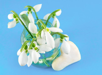 Snowdrops bouquet on blue background