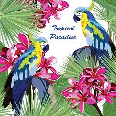 Obraz premium Exotic card with parrot birds and flowers. Vector Summer Tripocal Paradise background illustration
