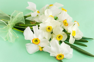 Narcissus flowers bouquet on green background