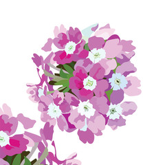Obraz na płótnie Canvas Watercolor Pink flowers bouquet isolated. Vector floral border for background greeting cards, invitations, weddings, birthday, Valentine's Day, Mother's Day