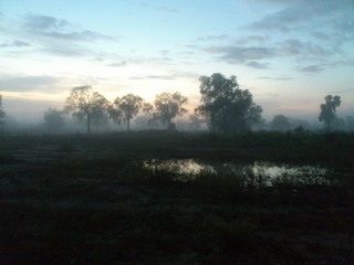 Fototapeta na wymiar Morgendliche Nebelstimmung im Chaco