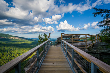 Obraz premium Pulpit Rock, at Chimney Rock State Park, North Carolina.