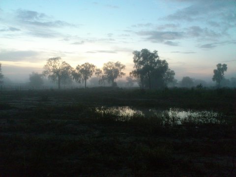 Morgendliche Nebelstimmung im Chaco