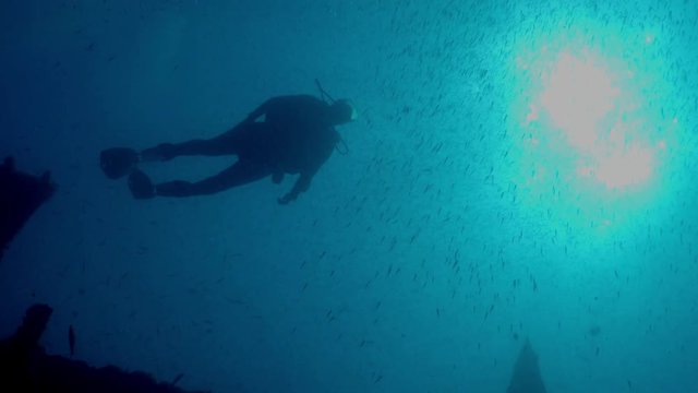 Diver swims in a wreck with a large school of fish tomates grunts, Haemulon aurolineatum, North Carolina, Aug. 2016