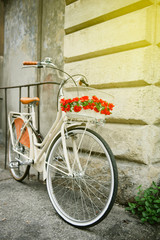 Fototapeta na wymiar White vintage bicycle with red flowers parked against a wall in Pisa, Italy on a bright sunny day