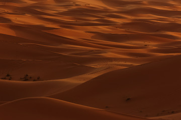 Merzouga, Marokko, Erg Chebbi, Sahara, Wueste 