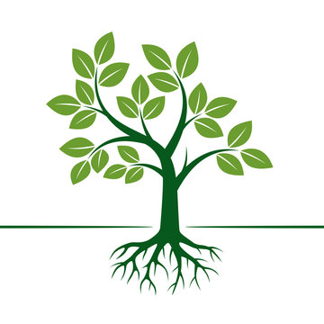 Green Vector Tree and Roots. Vector Illustration.