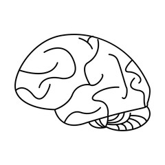 human brain idea creativity outline vector illustration eps 10