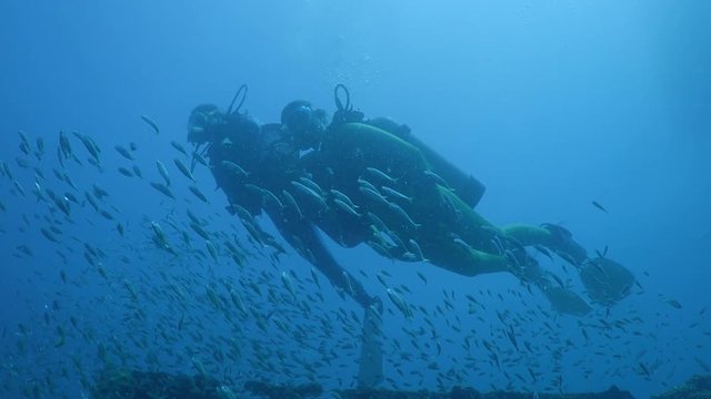Diver swims in a wreck with a large school of fish tomates grunts, Haemulon aurolineatum, North Carolina, Aug. 2016