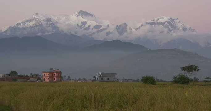 Rice field near high mountain range