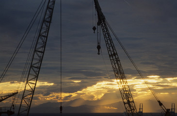 Fototapeta premium Genova 80