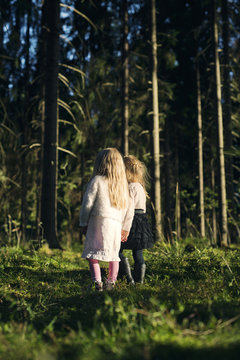 Finland, Paijat-Hame, Heinola, Two girls (2-3, 4-5) standing in spruce forest
