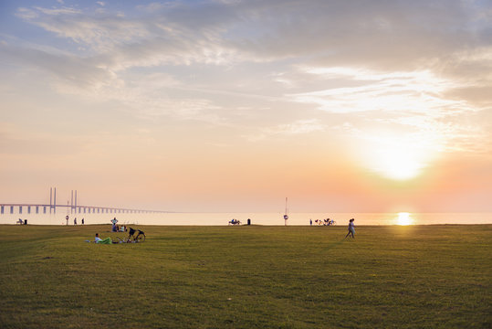 Sweden, Skane, Malmo, Sibbarp, Grassy coastline at sunset