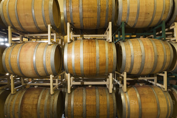 Rows of wooden wine barrels in winery cellar