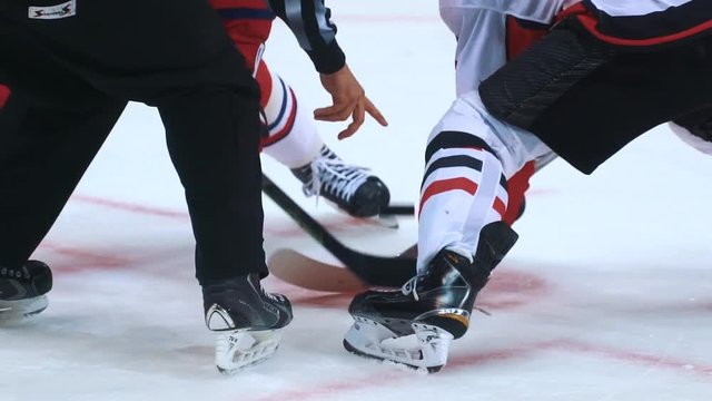 Hockey referee holding a puck in face off