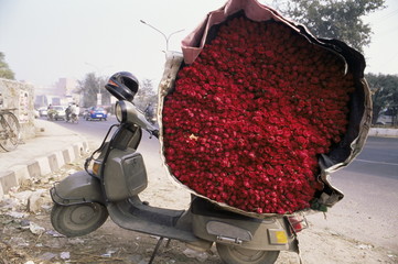 Flower market, Lado Sarai, Delhi