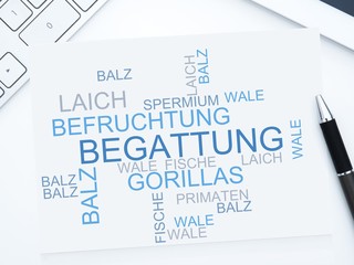 Begattung