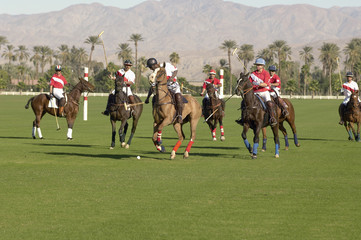 Players playing match on polo field