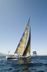 Fototapeta premium Back view of sailboats racing in the blue and calm ocean against clear sky