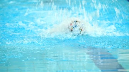 Professional male swimmer swimming in the pool