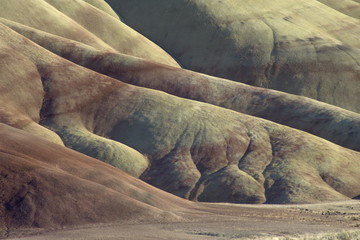 Detail from the dramatic landscape of the Painted Hills, where rapid erosion has shaped colourful mineral-rich clays, John Day Fossil Beds National Monument, Oregon