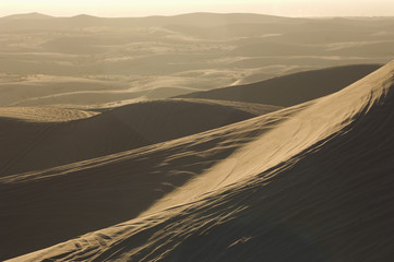 ATV tracks on sand dunes