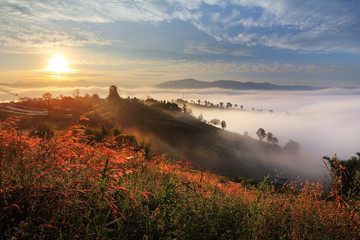 Beautiful scenery during sunrise with the mist at Ban Huay Kon ,Chaloem Phra Kiat district ,Nan province in Thailand is a very popular for photographer and tourists. Attractions and natural Concept