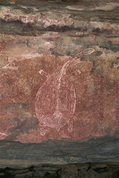 Painting of a turtle at the Aboriginal rock art site at Ubirr Rock, Kakadu National Park, where paintings date from 20000 years old to present day, Northern Territory