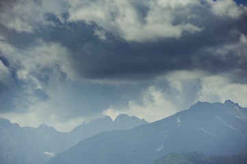 Mountain forest covered by fog