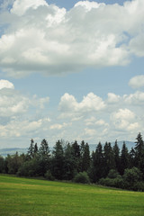 Fototapeta na wymiar Hills covered with green grass under blue sky