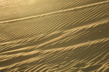 Wind ripples in sand dunes