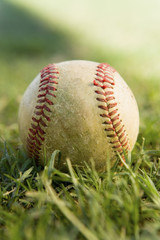 Baseball on grass (close-up)