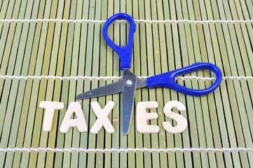 Scissors and the alphabet TAXES on bamboo rolling mat