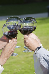Four hands toasting wine glasses at lawn