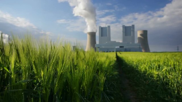 View to a shiny new lignite power station behind a green rye field
