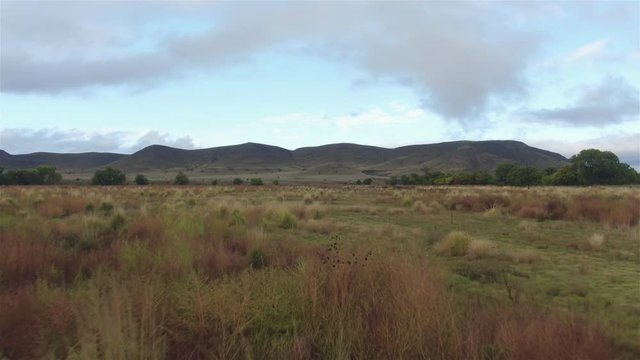 AERIAL: Beautiful bushy grassland in vast New Mexico landscape