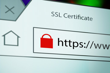 Close-up of a browser window showing lock icon during SSL connection - obrazy, fototapety, plakaty