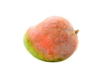Apple mango fruit isolated on white background