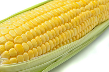 An ear of corn isolated on a white background