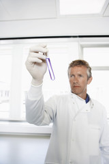 Naklejka na ściany i meble Middle aged scientist examining solution in test tube at laboratory