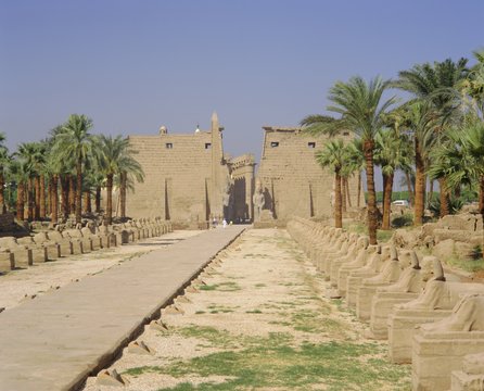 Avenue of Sphinxes and statues of Ramses II, Luxor Temple, Luxor, Egypt