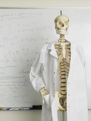 Skeleton in lab coat in front of whiteboard with mathematics calculation