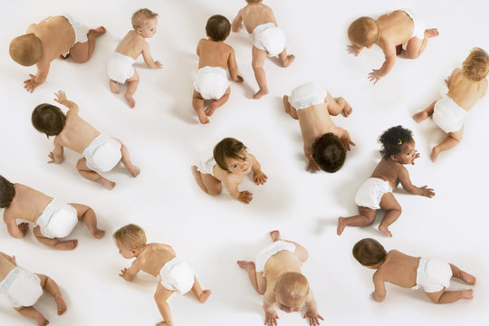 Group of multiethnic babies crawling isolated on white background
