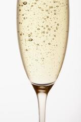 Glass of Champagne close up in studio