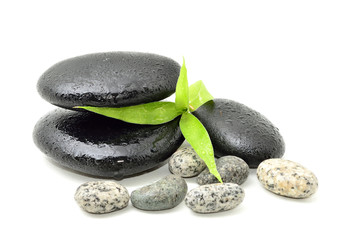 Zen stone with bamboo leaf on white background. Spa concept